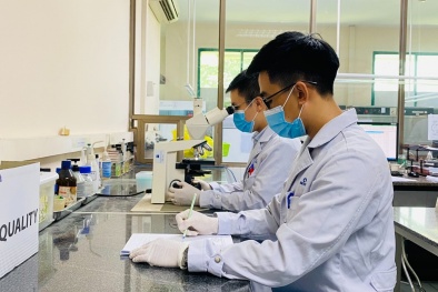 'Nâng cấp' con người STAMEQ hướng đến mục tiêu phát triển bền vững 