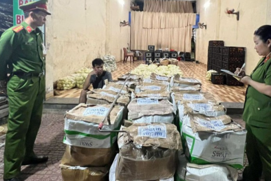 Sơn La phát hiện 300 kg rau, củ quả tại nhiều chợ chứa thuốc bảo vệ thực vật vượt ngưỡng