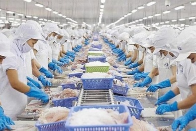 Khẩn trương gỡ bỏ rào cản kỹ thuật, mở cửa cho các sản phẩm nông lâm thủy sản của Hoa Kỳ