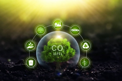 Kinh nghiệm phát triển và quản lý thị trường các-bon trên thế giới và bài học cho Việt Nam