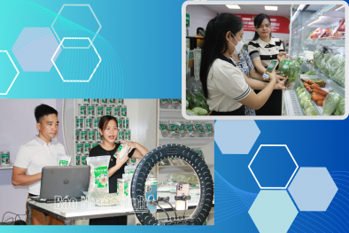 Nam Định đẩy mạnh áp dụng khoa học công nghệ, đổi mới sáng tạo và chuyển đổi số