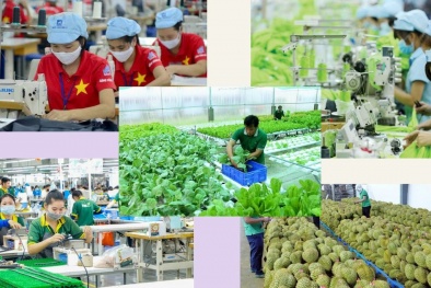 Năng suất gắn với các cuộc cách mạng công nghiệp 