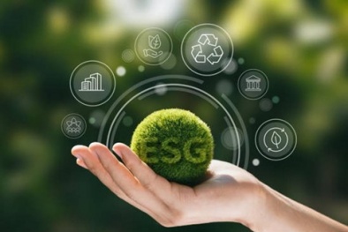 Hệ thống tiêu chuẩn quốc gia về môi trường, xã hội và quản trị: Khung chiến lược hướng tới phát triển bền vững