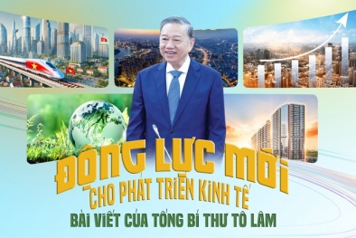 Tổng Bí thư Tô Lâm và tư duy lý luận mới về kinh tế tư nhân