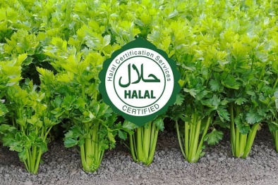 Yêu cầu về sử dụng thuốc bảo vệ thực vật đối với cơ sở sản xuất Halal