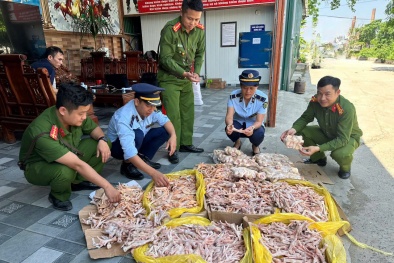Nghệ An tăng cường kiểm tra, quản lý vệ sinh an toàn thực phẩm