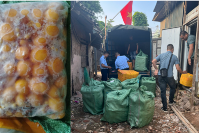 Hà Nội thu giữ lượng lớn trứng gà non đông lạnh, nấm kim châm không rõ nguồn gốc xuất xứ