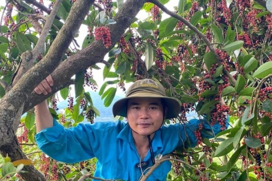 Từ lập trình viên trẻ đến 'Anh nông dân áo xanh' truyền cảm hứng