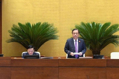 Cần xây dựng cơ sở dữ liệu quốc gia về hàng hóa vi phạm trong môi trường số