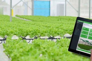 Từ nông dân truyền thống trở thành 'người điều hành farm số' chỉ bằng một nút chạm