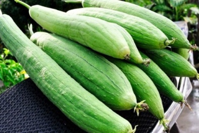 Những điều cần tránh khi ăn mướp để tốt cho sức khỏe