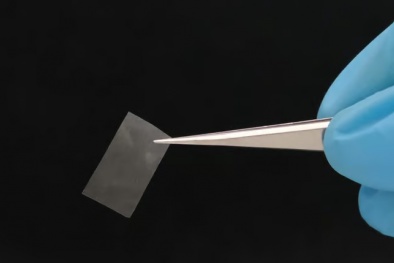 Vật liệu mới làm từ nấm có thể phân hủy sinh học, bảo vệ môi trường