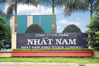Công ty Cổ phần Nhất Nam bị phạt 320 triệu đồng do vi phạm về môi trường