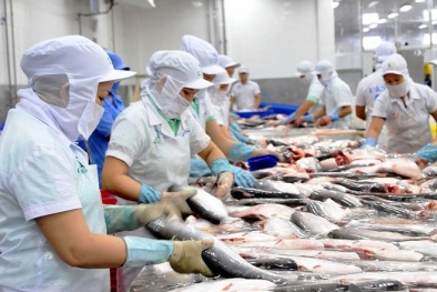 Thị trường Halal: Cơ hội cho cá ngừ Việt Nam