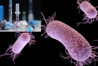 Phát hiện vi khuẩn sống nhờ nhựa y tế: Những tiêu chuẩn an toàn cần đáp ứng