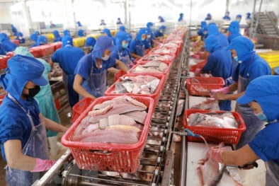 Đáp ứng tiêu chuẩn giúp doanh nghiệp vượt hàng rào kỹ thuật trong thương mại