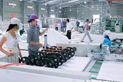 Sản xuất có trách nhiệm với tiêu chuẩn GRS