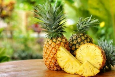 Chuyên gia Canada chỉ ra các loại trái cây chứa 'thuốc ngủ tự nhiên' tốt cho người lớn tuổi