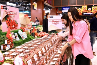 Central Retail sẽ tiêu thụ khoảng 1.000 tấn vải thiều mùa vụ năm 2025