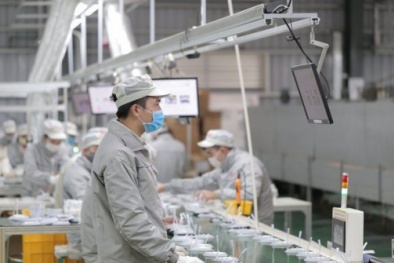 Tiêu chuẩn RoHS: Từ 'hàng rào' thành 'cơ hội' cho doanh nghiệp điện tử 