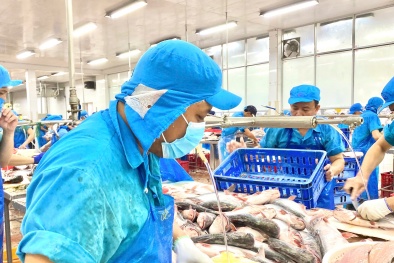 Đáp ứng tiêu chuẩn chế biến, truy xuất và chứng nhận Halal cá tra Việt đi sâu vào thị trường ngách
