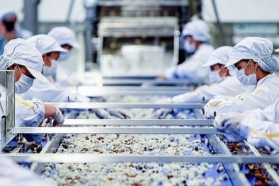 Áp dụng ISO 22000 – bước ‘chuyển mình’ mạnh mẽ của doanh nghiệp thực phẩm Việt 