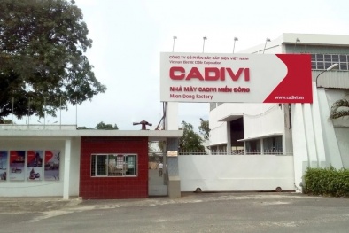 Nhà máy Cadivi Miền Đông bị phạt nặng do gây ô nhiễm đất vượt quy chuẩn