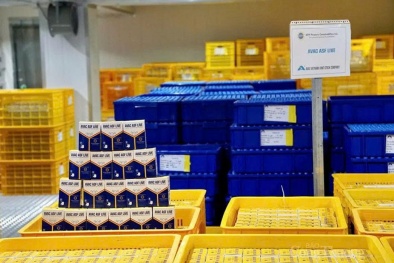 Việt Nam xuất khẩu vaccine dịch tả lợn châu Phi sang Indonesia: Bước tiến mới của ngành thú y