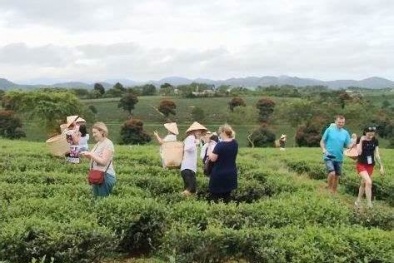 5 tháng đầu năm, chỉ số giá tiêu dùng tăng 3,21%