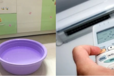 Chuyên gia khuyến cáo đặt chậu nước dưới điều hòa không cần thiết, hại điện năng