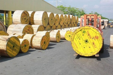 Tiêu chuẩn IEC: Chìa khóa nâng cao chất lượng và an toàn trong ngành điện – điện tử