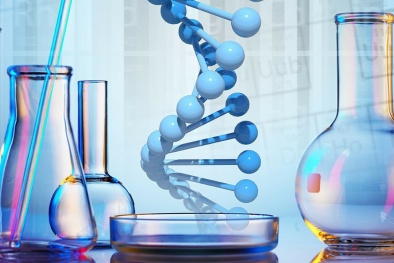 Quy chuẩn kỹ thuật quốc gia giá trị giới hạn tiếp xúc cho phép đối với 70 yếu tố hóa học tại nơi làm việc