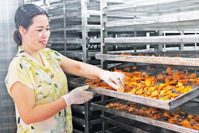 Doanh nghiệp vươn xa nhờ đổi mới công nghệ và chuyển đổi số