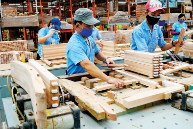 Ngày càng nhiều doanh nghiệp Việt Nam áp dụng công cụ cải tiến MFCA 