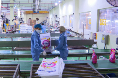 TPI – công cụ chiến lược giúp doanh nghiệp ngành Công Thương cải tiến toàn diện và bền vững