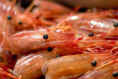  TCVN 13658:2023 về chitosan có nguồn gốc từ tôm