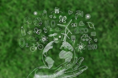 Triển khai mô hình EMS - vai trò then chốt trong chiến lược phát triển bền vững 