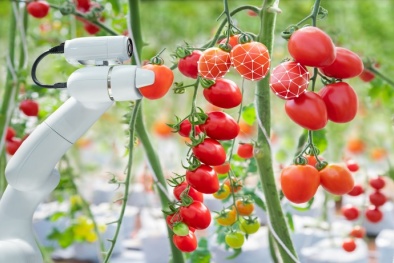 Ứng dụng công nghệ nâng cao năng suất chất lượng và giá trị cây trồng