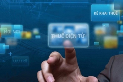 Phân quyền, phân cấp trong lĩnh vực quản lý thuế