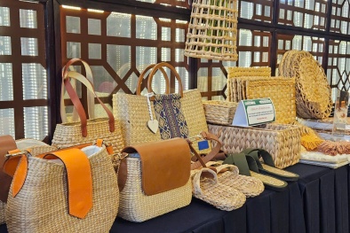 Thêm sức bật cho startup xanh