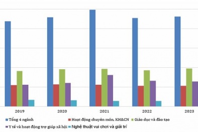Thực trạng cung ứng dịch vụ sự nghiệp công ở Việt nam: Phân tích một số trường hợp tiêu biểu
