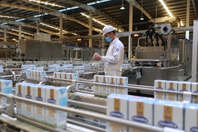 Ngành sữa chinh phục thị trường quốc tế bằng chất lượng và công nghệ xanh