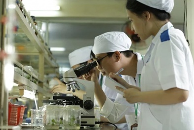 Công nghệ sinh học mở đường cho nông nghiệp xanh hiện đại