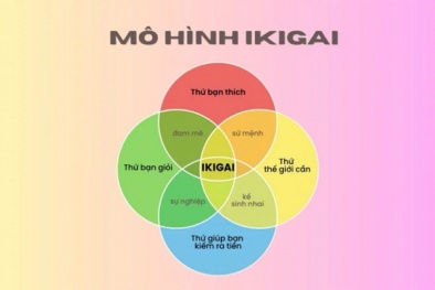 Giải pháp hướng nghiệp tích hợp 4 công cụ: Thành quả nghiên cứu ứng dụng tâm lý học hiện đại dành cho học sinh trung học phổ thông