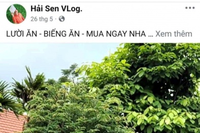 Hàng trăm nghìn hộp siro 'ăn ngon' của TikToker nổi tiếng bị phát hiện là hàng giả