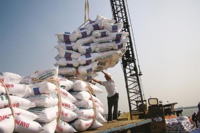 Ngành phân bón tăng tốc từ áp dụng công nghệ và công cụ cải tiến năng suất