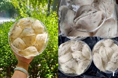 Xuất hiện nhiều sản phẩm yến sào giá rẻ chất lượng chưa được xác thực