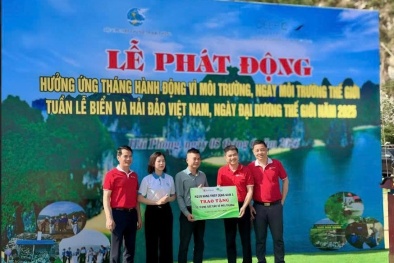 Cán bộ nhân viên SeABank chung tay làm sạch 11 bãi biển vì môi trường xanh