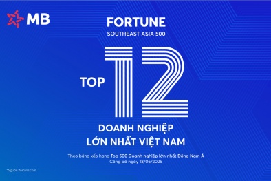 MB vượt 5 hạng trên Bảng xếp hạng  Fortune SEA 500 so với 2024