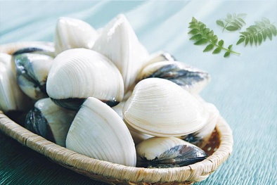 Xuất khẩu nghêu của Việt Nam tiếp tục đà tăng trưởng mạnh trong năm 2025